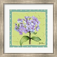 Framed Whimsical Flowers III