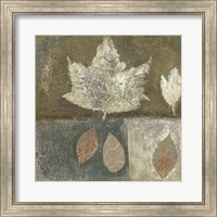 Framed Neutral Leaves I