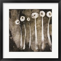 Framed White Flowers Abstract II