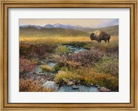 Framed Bison & Creek
