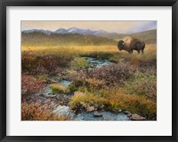 Framed Bison & Creek