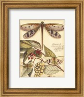 Framed Whimsical Dragonflies I