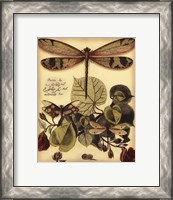 Framed Whimsical Dragonflies II