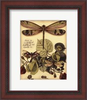 Framed Whimsical Dragonflies II