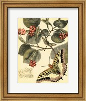 Framed Whimsical Butterflies I