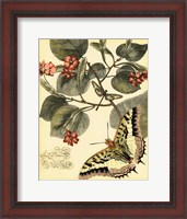 Framed Whimsical Butterflies I
