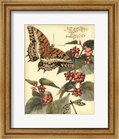 Framed Whimsical Butterflies II