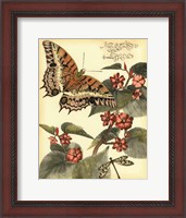 Framed Whimsical Butterflies II