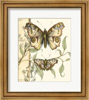 Framed Tandem Butterflies I
