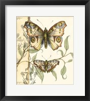 Tandem Butterflies I Framed Print