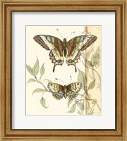 Framed Tandem Butterflies II