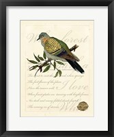 Framed Romantic Dove I