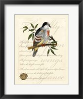 Romantic Dove II Framed Print