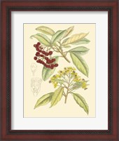 Framed Berries & Blossoms I