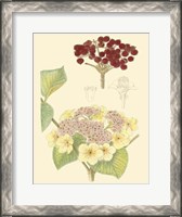 Framed Berries & Blossoms V
