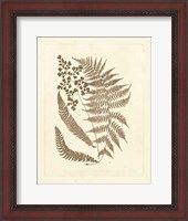 Framed Sepia Ferns III