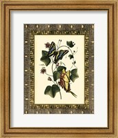 Framed Leather Framed Butterflies II