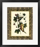 Leather Framed Butterflies II Framed Print