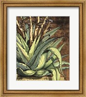 Framed Graphic Aloe I