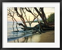 Reaching for the Sea I Framed Print