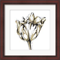 Framed Tulip Sketch I
