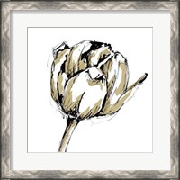 Framed Tulip Sketch II