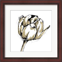 Framed Tulip Sketch II