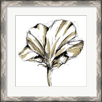 Framed Tulip Sketch IV