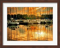 Framed Marina Sunrise I