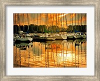 Framed Marina Sunrise I