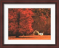 Framed Farm House on a Autumn Morn'