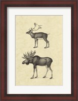 Framed Vintage Elk