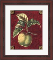 Framed Pomme De Hubbardston