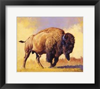 Framed Tatanka