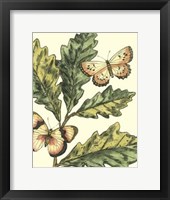 Framed Butterflies & Leaves III