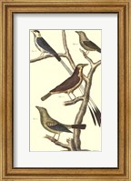 Framed Bird Family I
