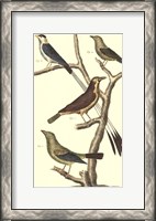 Framed Bird Family I