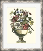 Framed Floral Splendor II