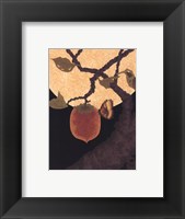Framed Moon, Persimmon and Moth