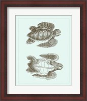 Framed Loggerhead Turtles I