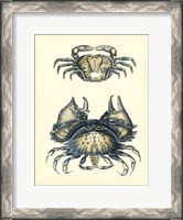 Framed Antique Blue Crabs I
