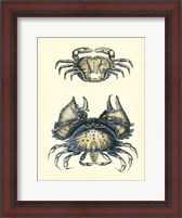 Framed Antique Blue Crabs I
