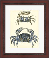 Framed Antique Blue Crabs II