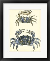 Antique Blue Crabs II Framed Print