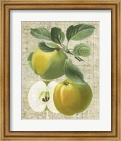 Framed Orchard Medley I