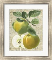 Framed Orchard Medley I