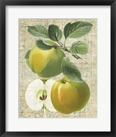 Orchard Medley I Framed Print