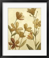 Wildflower Field II Framed Print