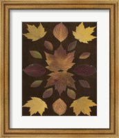 Framed Kaleidoscope Leaves VI