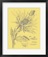 Nature's Optimism I Framed Print